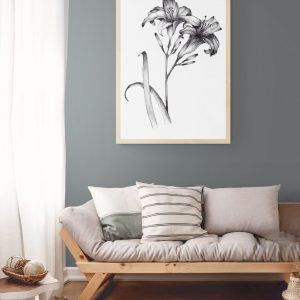 Pair of Black and White Day Lillies