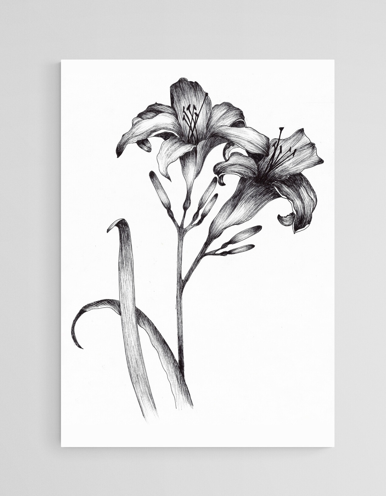 Pair of Black and White Day Lillies - Image 2