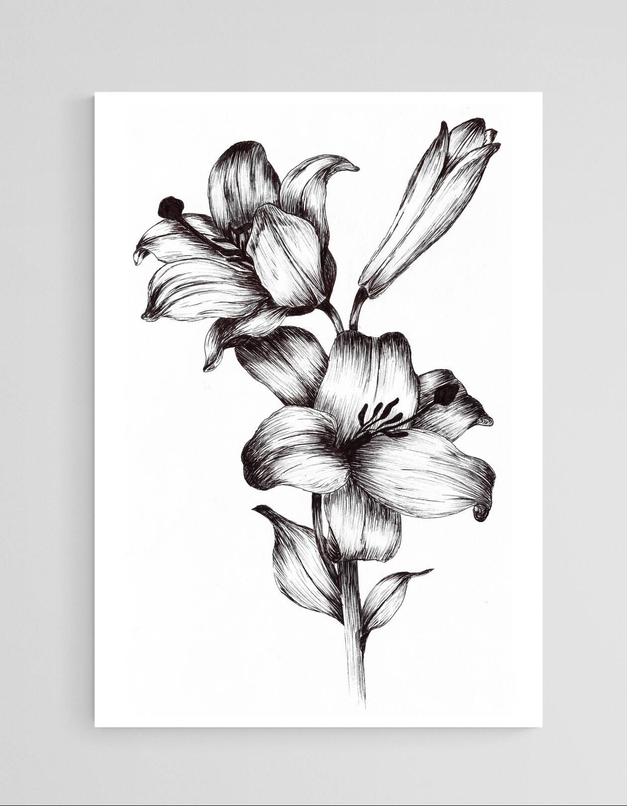 Black and White Flowers and Bud - Image 2