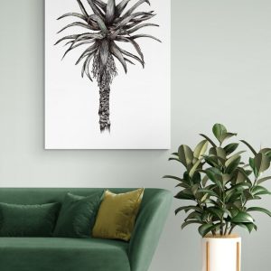 Single Watercolour Aloe