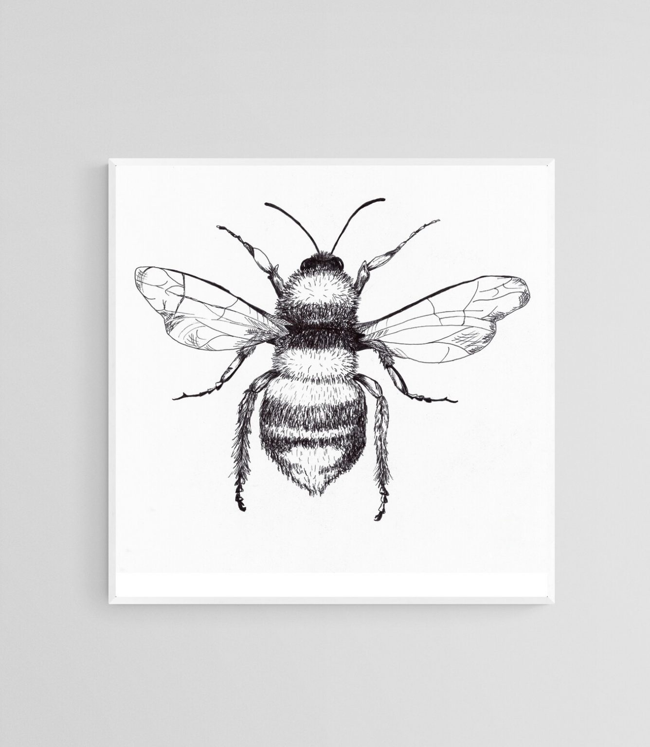 Honeybee - Image 2