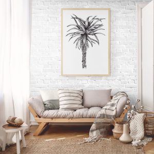 Single Black and White Aloe