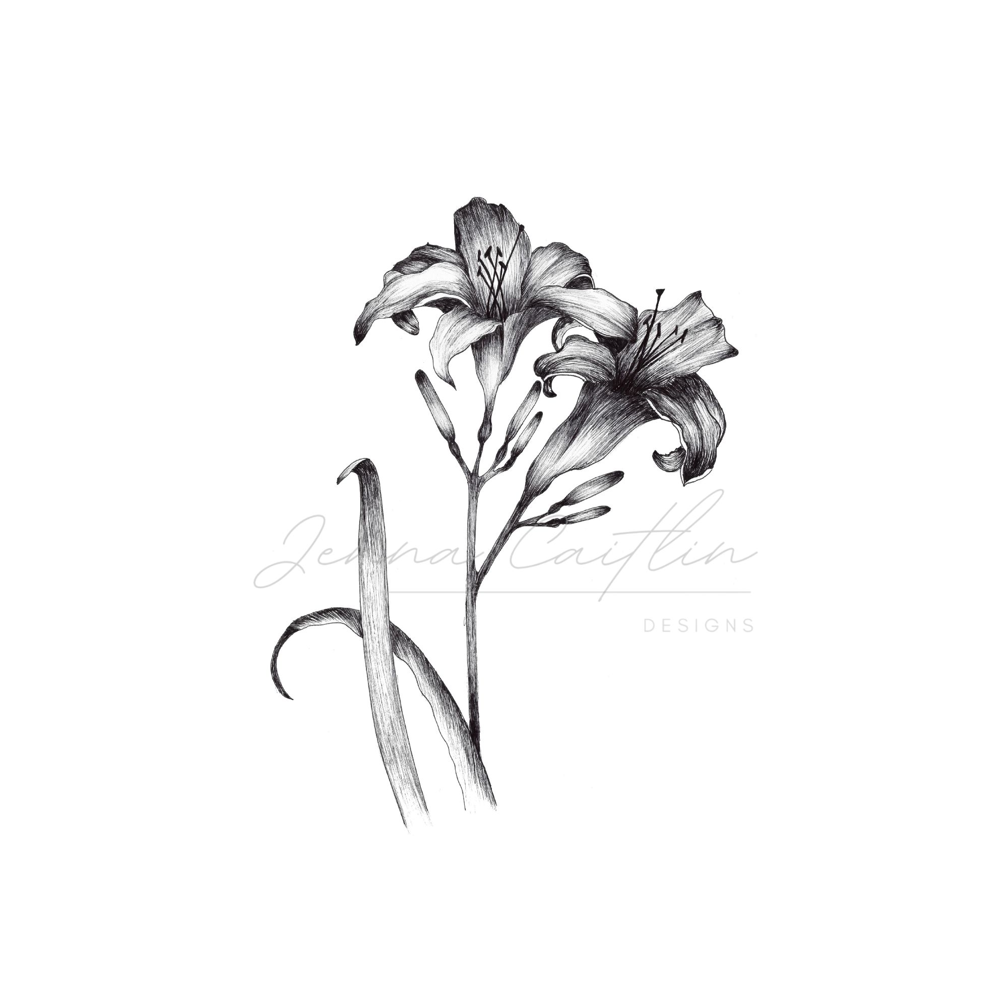 Pair of Black and White Day Lillies - Image 4