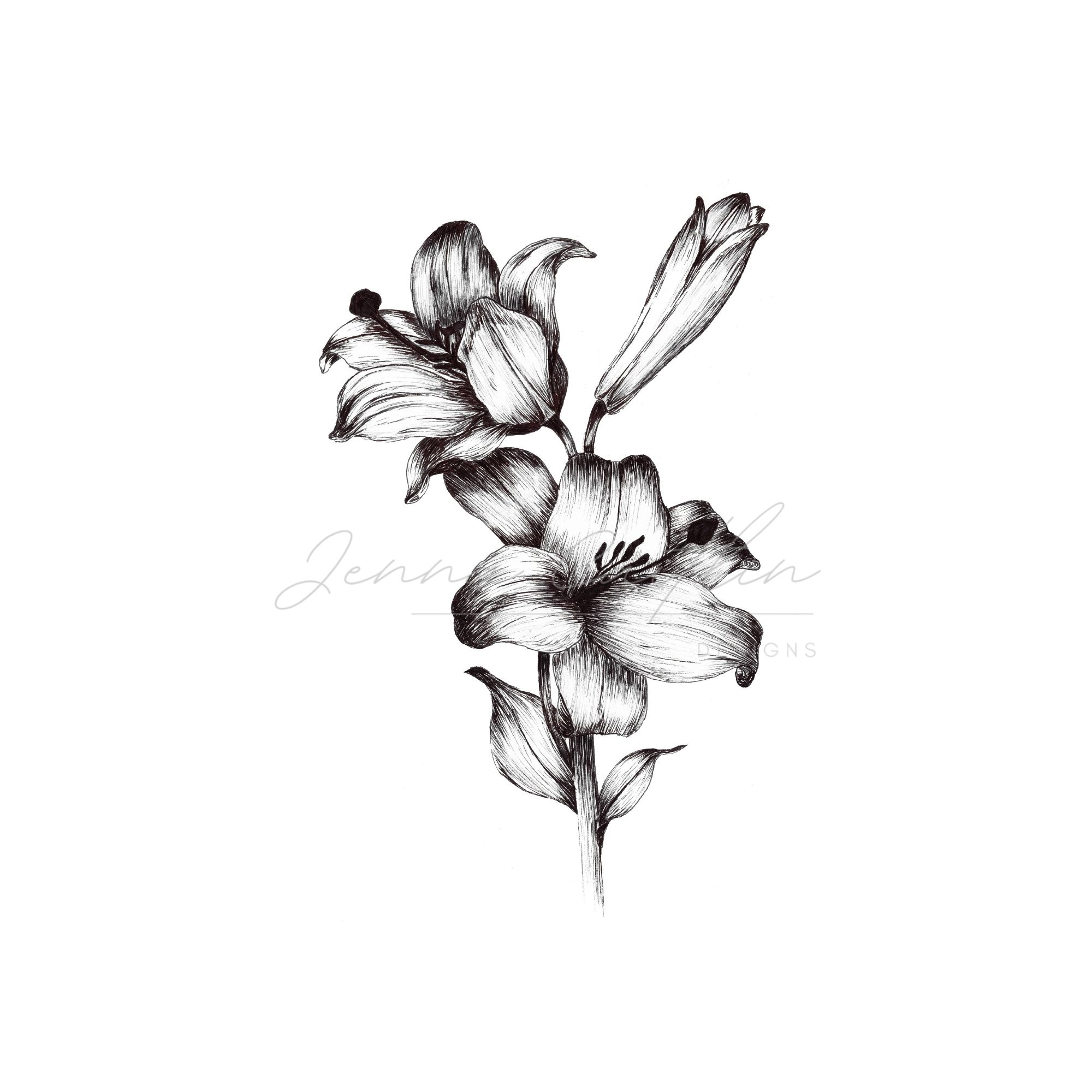 Black and White Flowers and Bud - Image 4