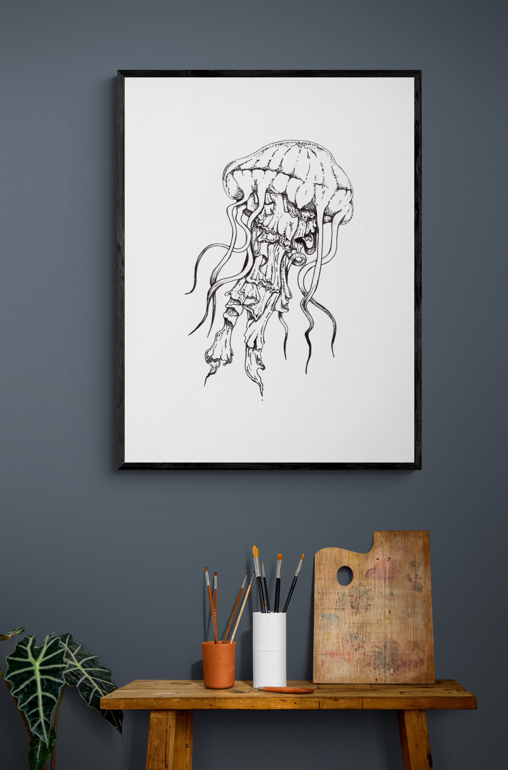 Jellyfish