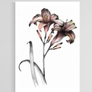 Pair of Orange Day Lillies