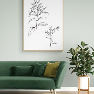 Pair of Flower Stems