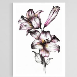 Pink Flowers and Bud