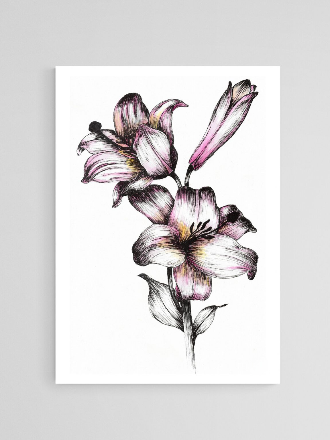 Pink Flowers and Bud