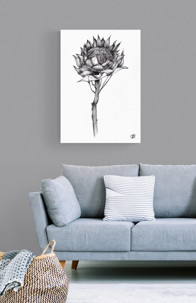 protea with canvas