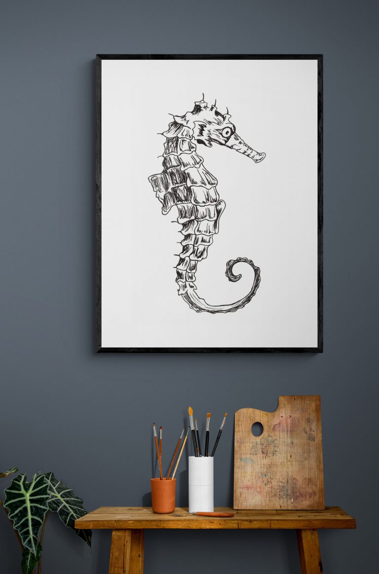 seahorse plain