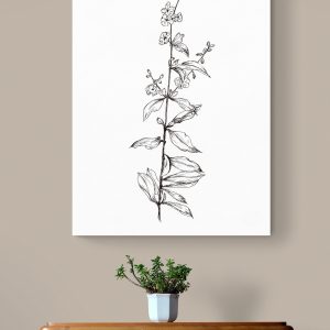 Single Flower Stem