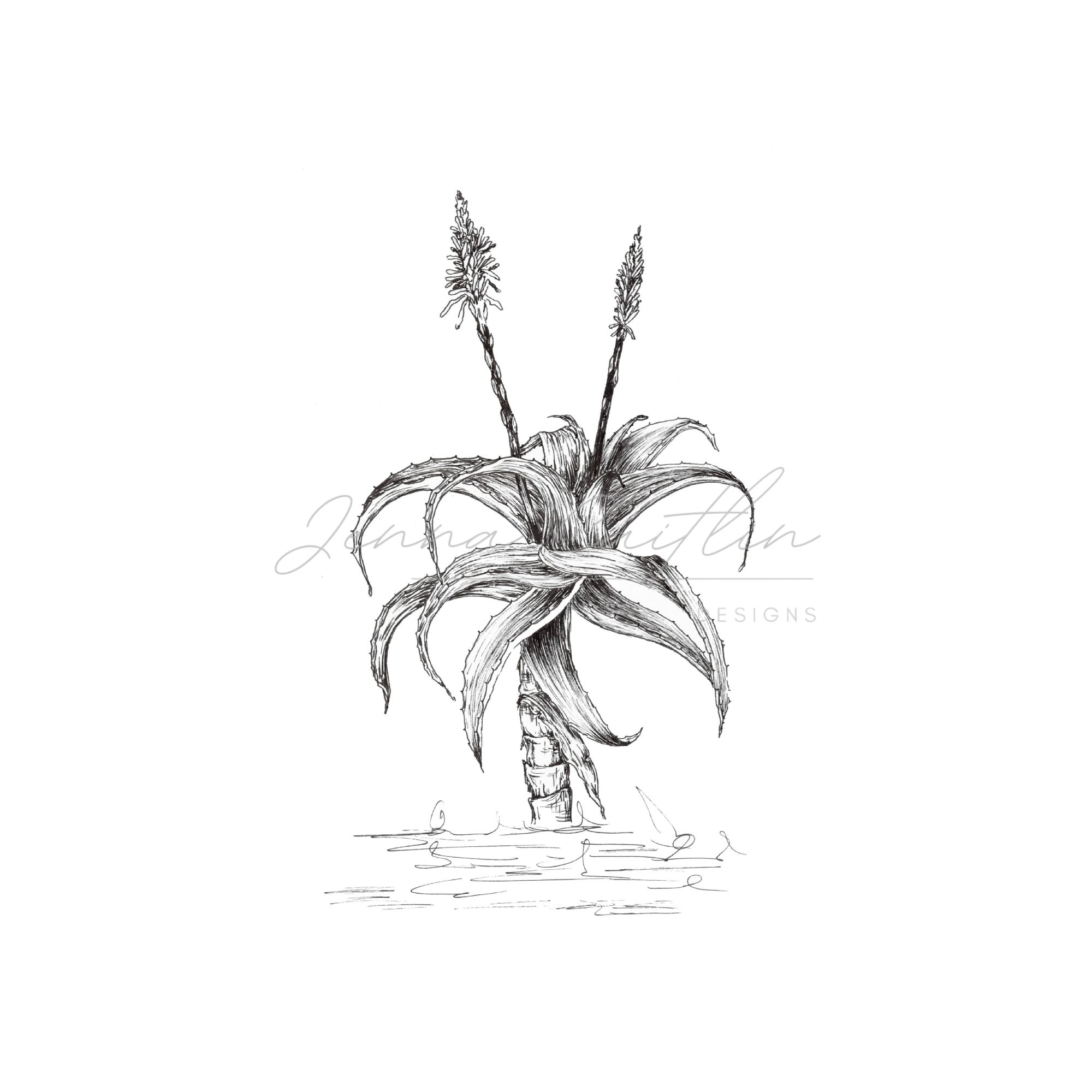 Aloe and Two Flowers - Image 2