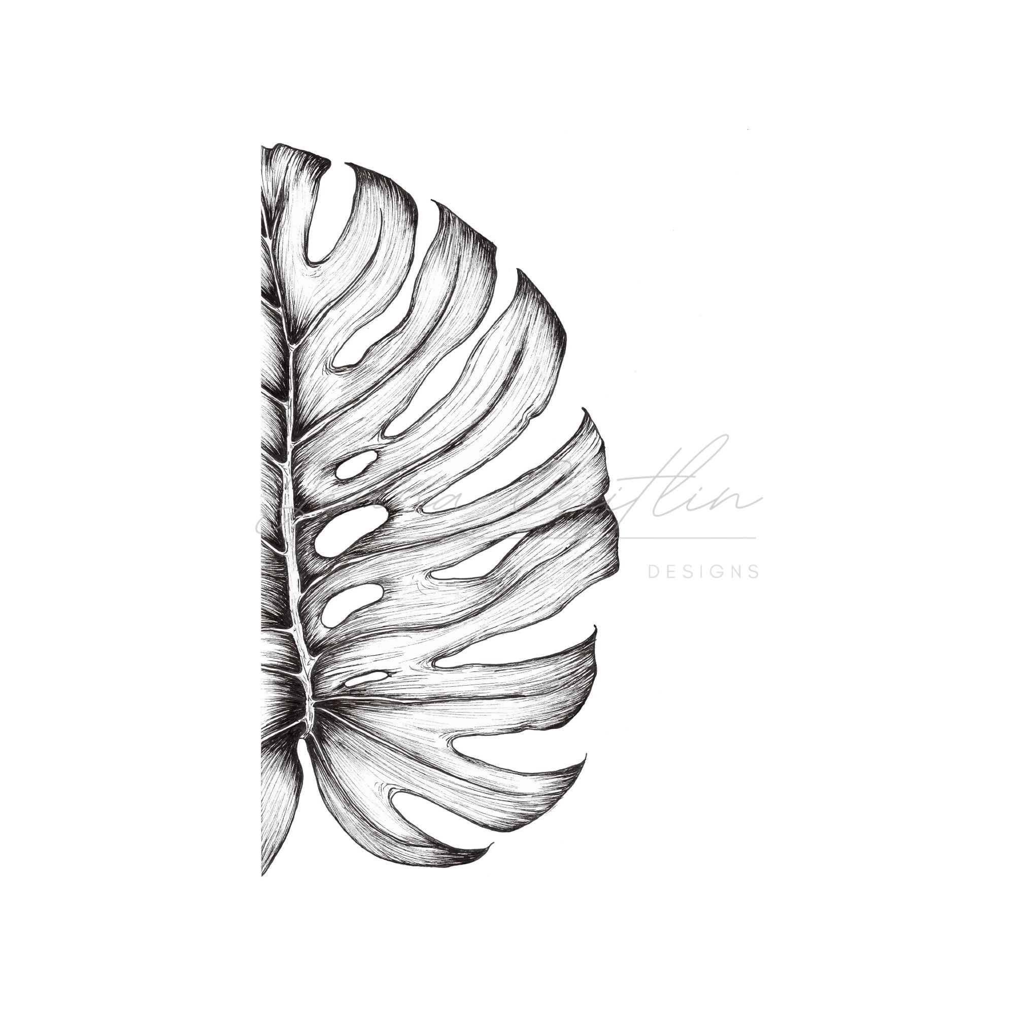 Monstera Leaf 1 - Image 2