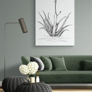 Aloe with One Flower