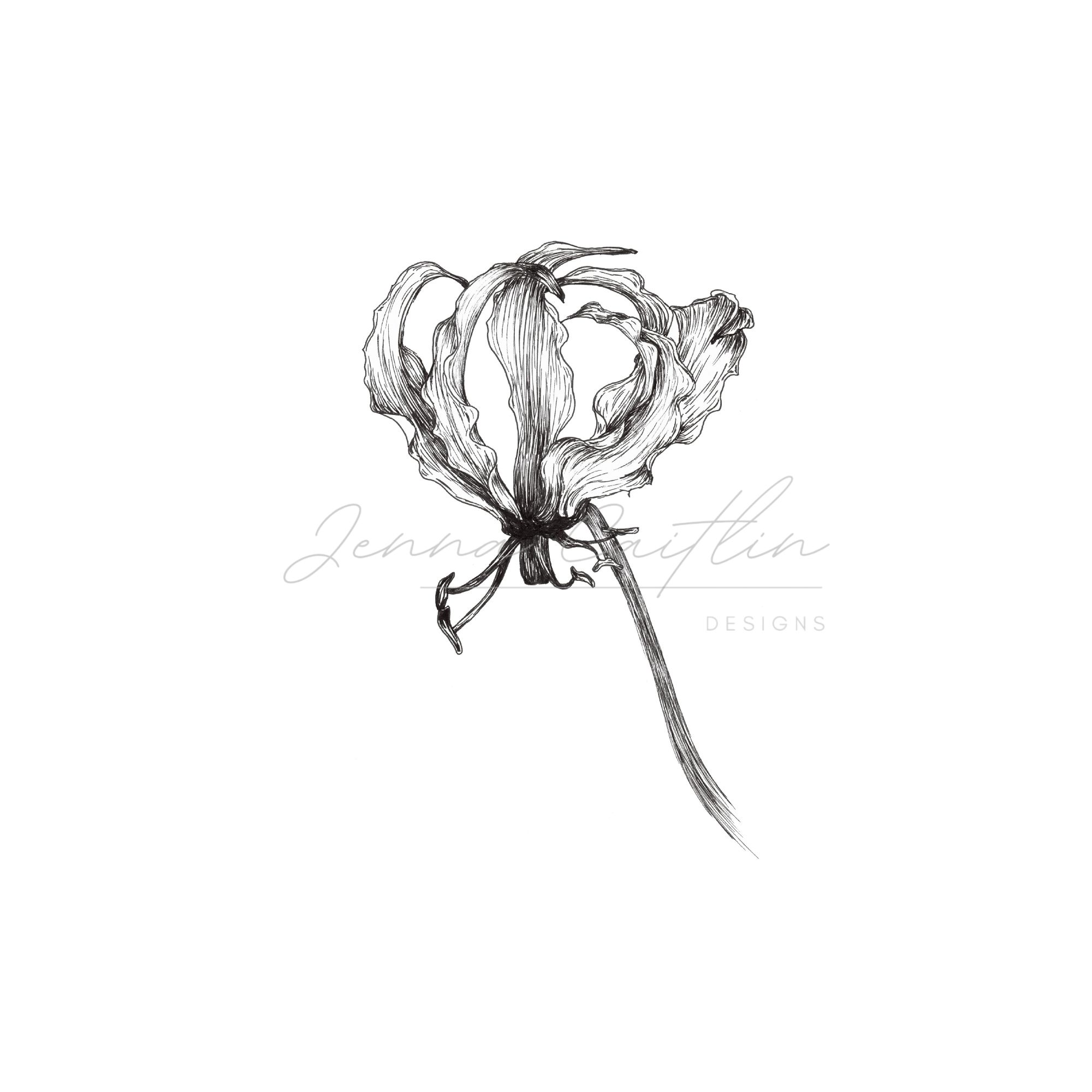 Flame Lilly - Image 2