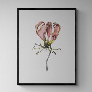 Flame Lilly with Water Colours