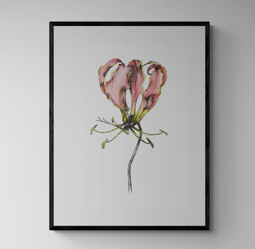 Flame Lilly with Water Colours