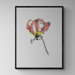 Flame Lilly Water Colour 2