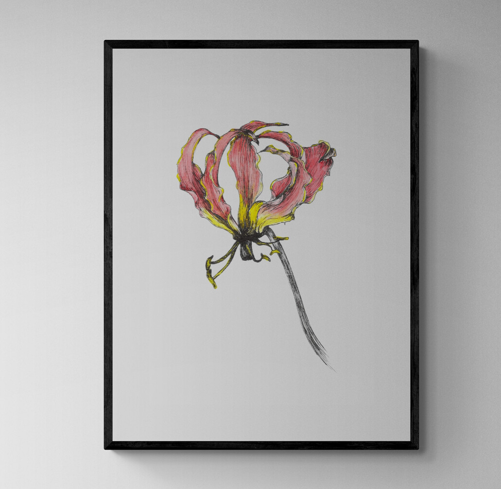 Flame Lilly Water Colour 2