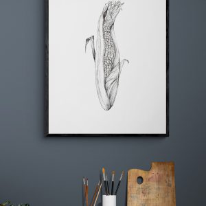 Corn with Open Husks