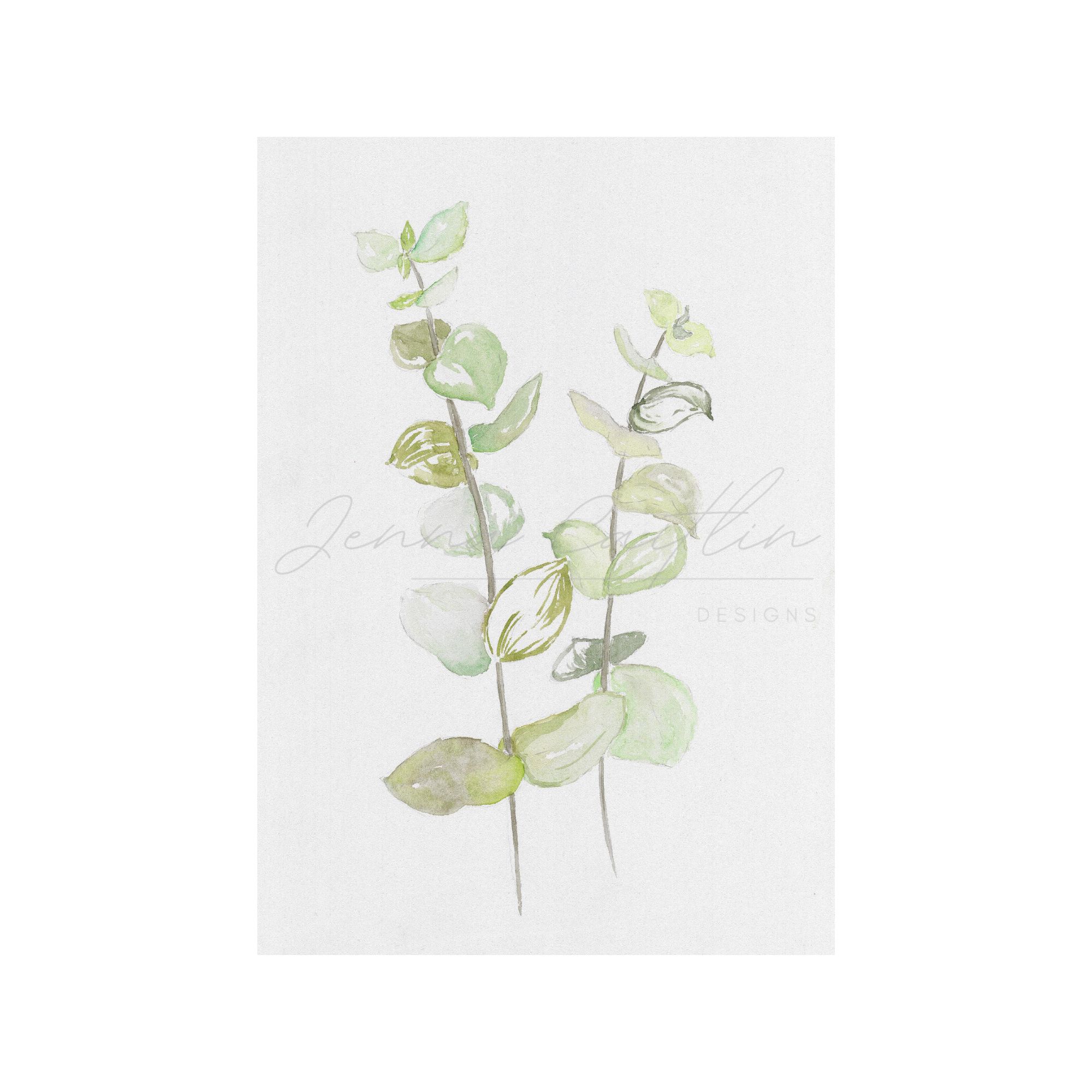 Watercolour Pennygum - Image 2