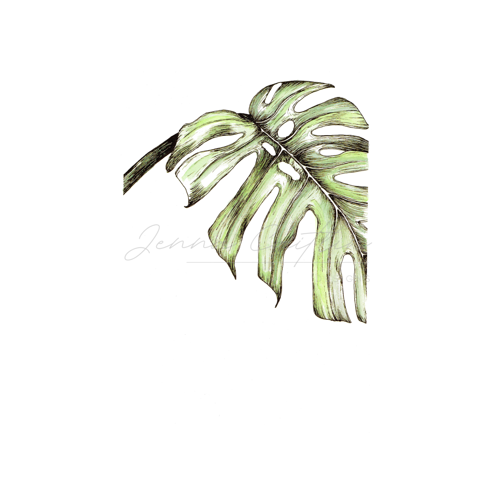 Watercolour Monstera 1 - Image 4