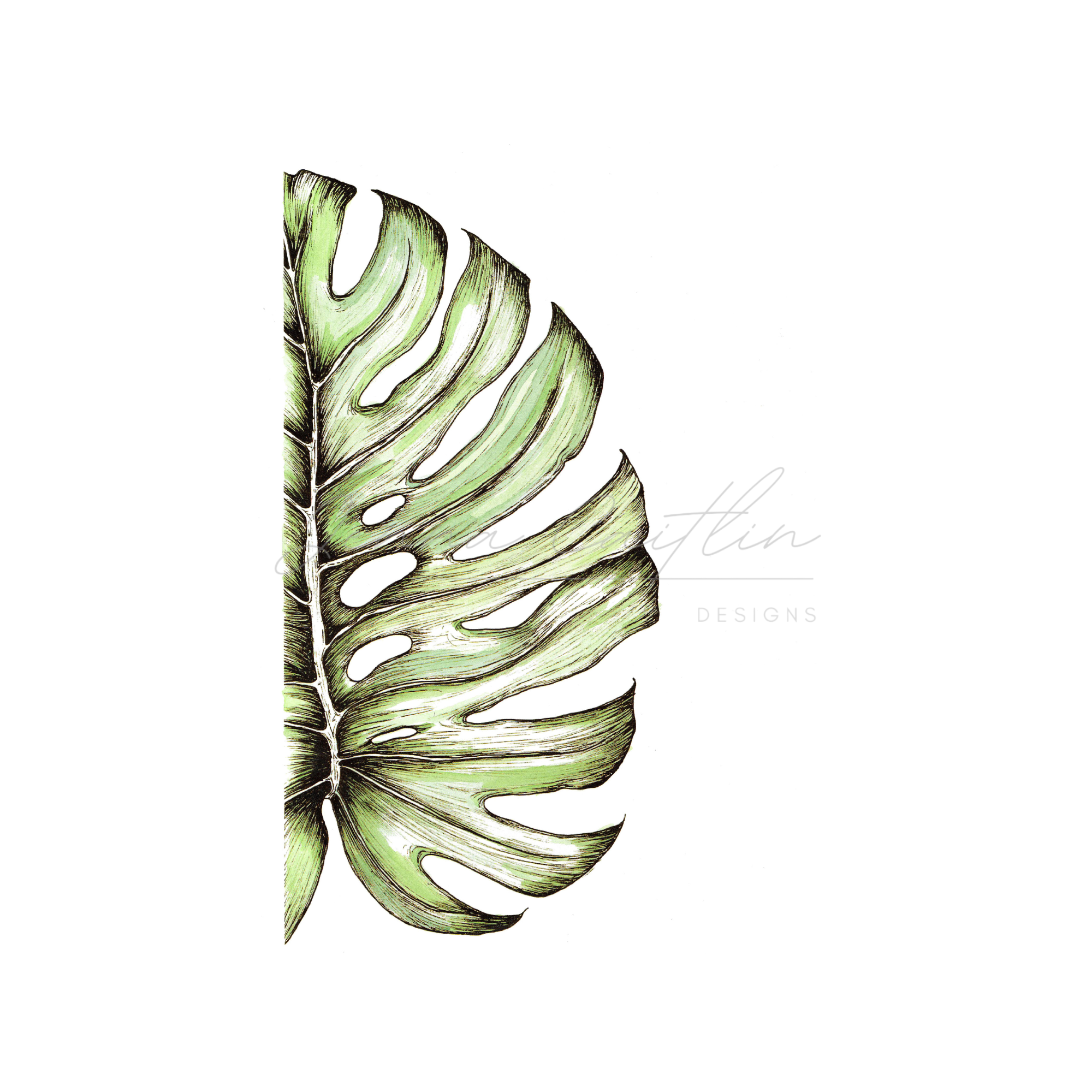 Watercolour Monstera Leaf 2 - Image 4