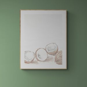 Watercolour 4 Coconuts