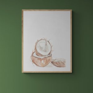 Watercolour 3 Coconuts