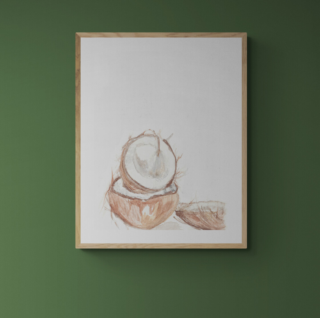 Watercolour 3 Coconuts