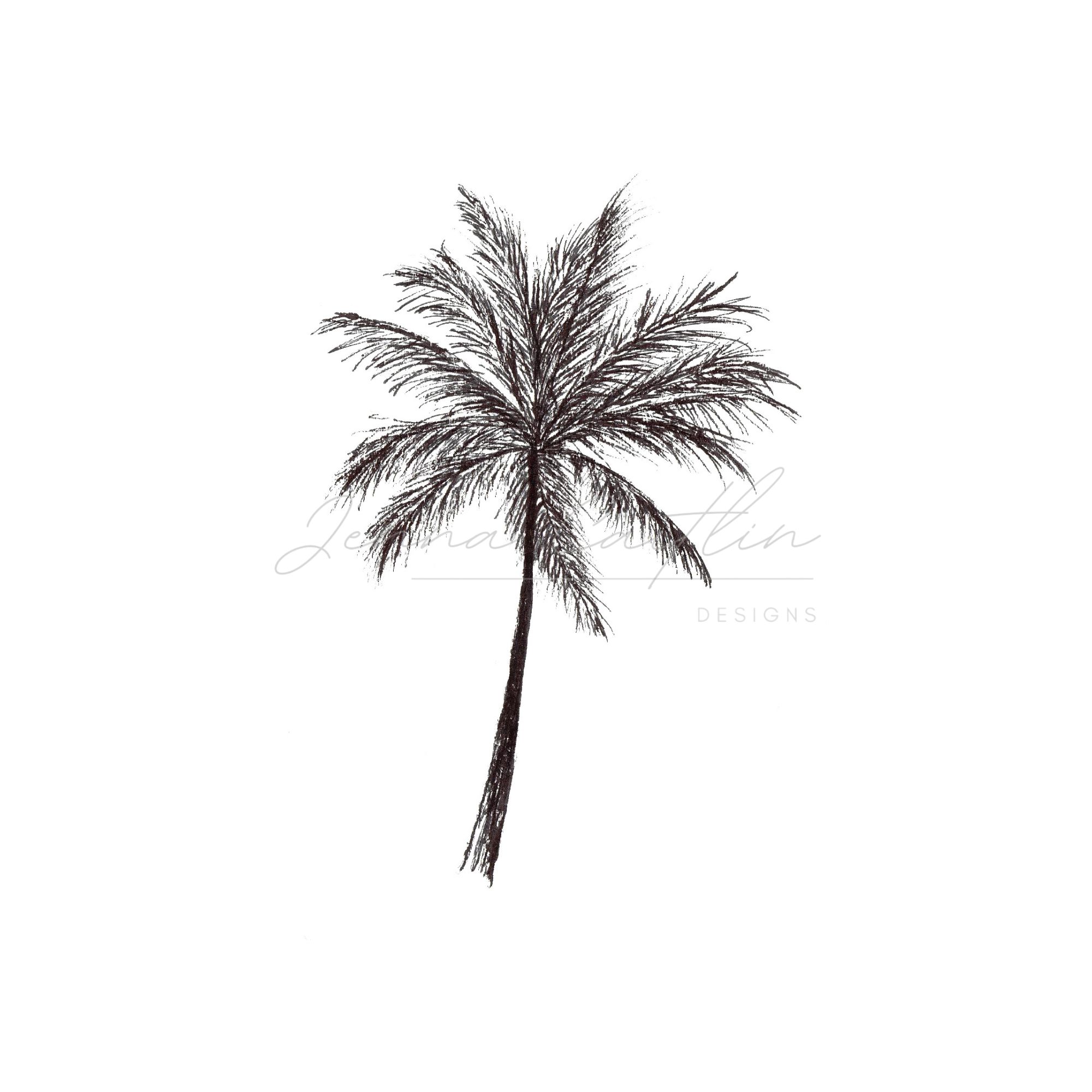 Black and White Palm Tree - Image 2