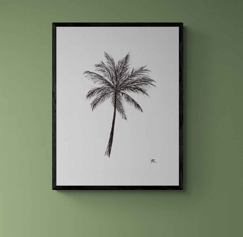 Black and White Palm Tree