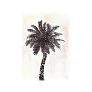 Black and White Palm Tree with Pink Skies