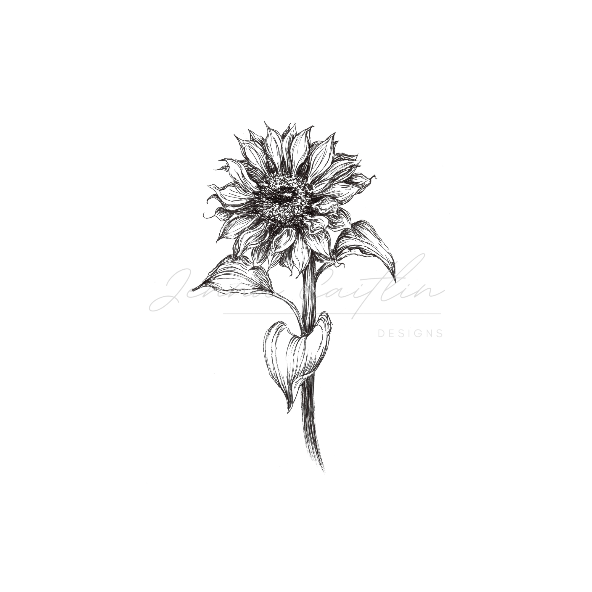 Black and White Sunflower 1 - Image 2