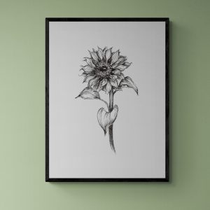 Black and White Sunflower 1