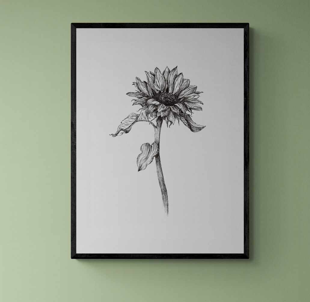 Black and White Sunflower 2