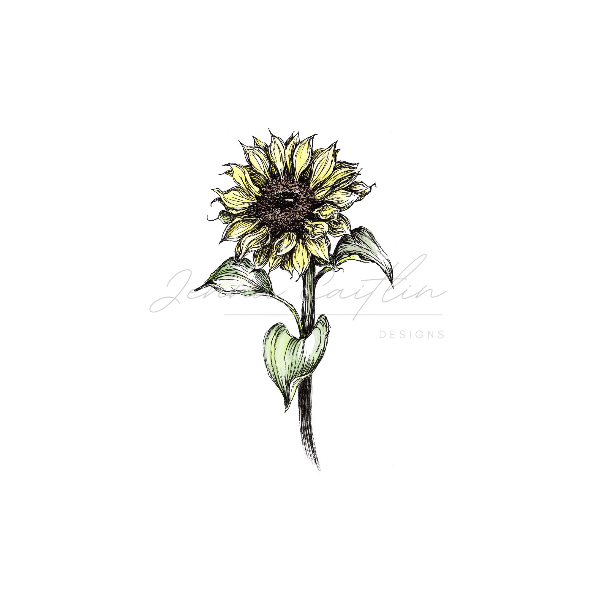 Watercolour Sunflower 1 - Image 2