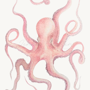 Floating Octopus